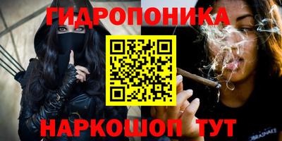 прущие крисы Кунгур