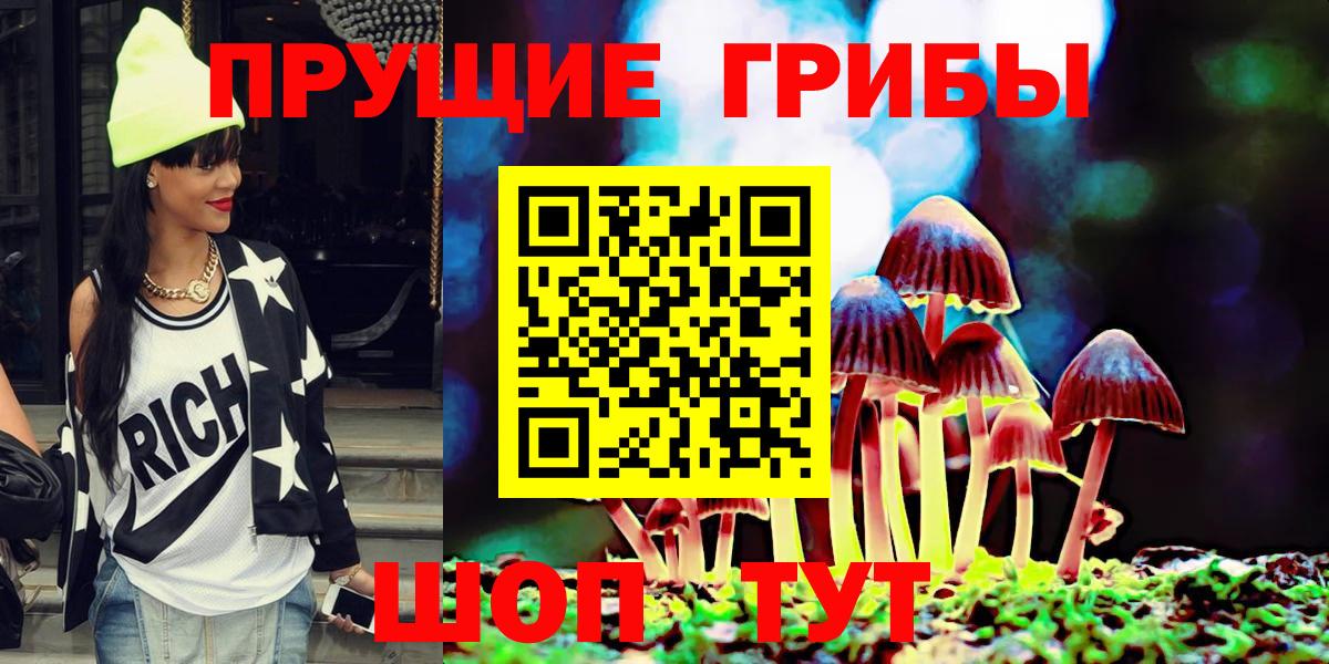 Галлюциногенные грибы Psilocybe Калач-на-Дону